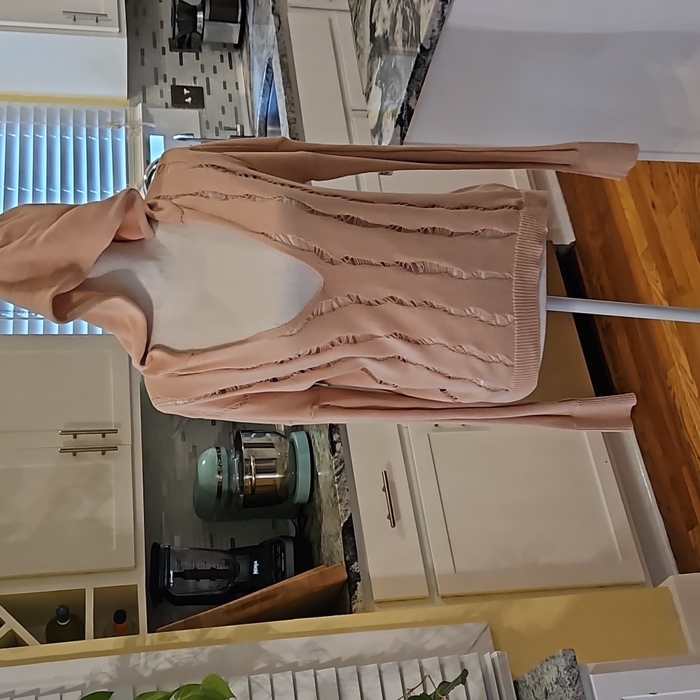 Distressed Express Hoodia sweater